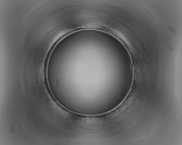 X0000113941087200909251235