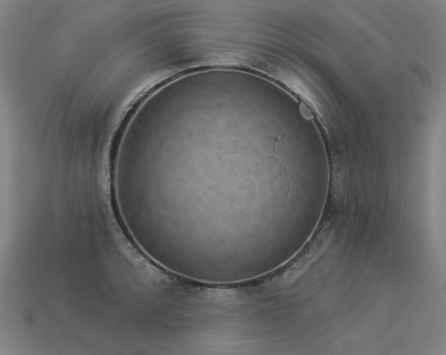 X0000113941088200909251235