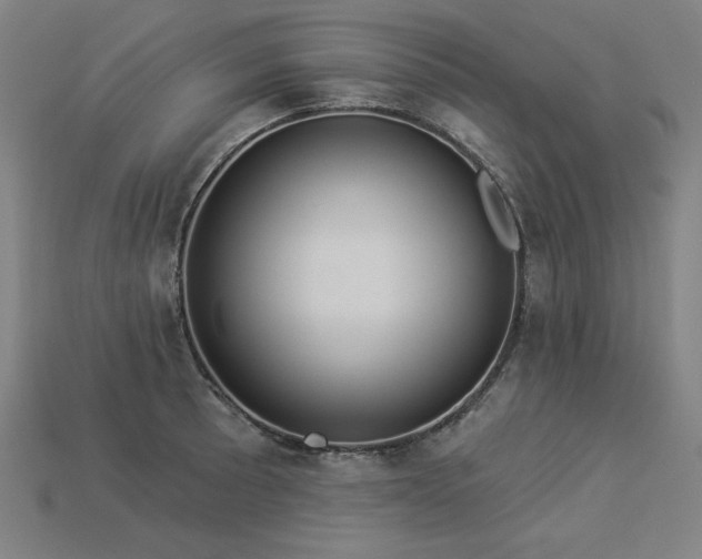 X0000113941089200909251235