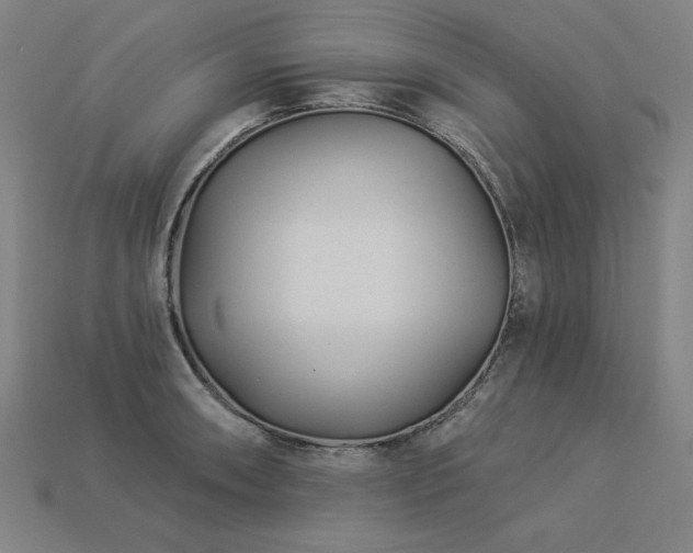 X0000113941090200909251235