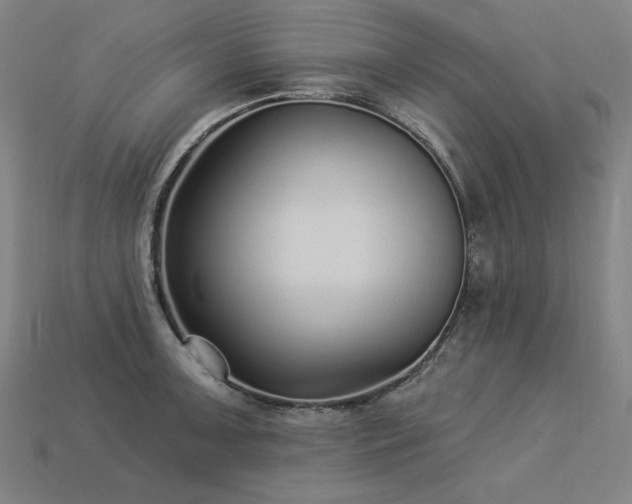 X0000113941091200909251235