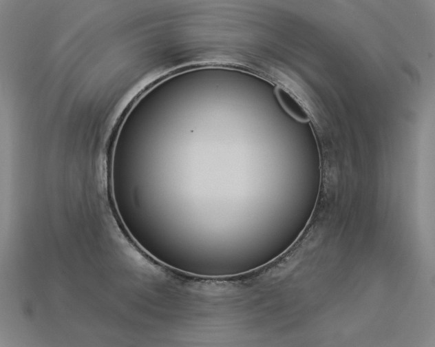 X0000113941092200909251235
