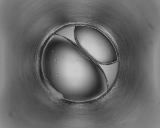 X0000113941093200909251235