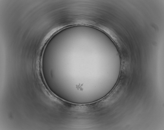 X0000113941094200909251235