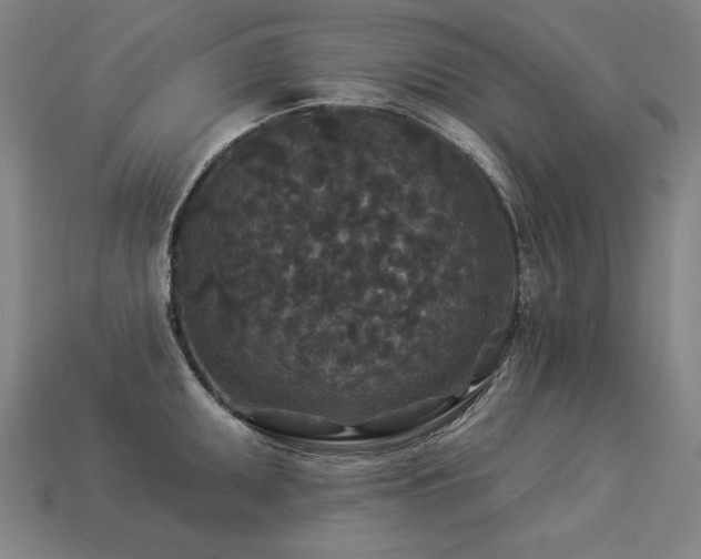 X0000113941095200909251235