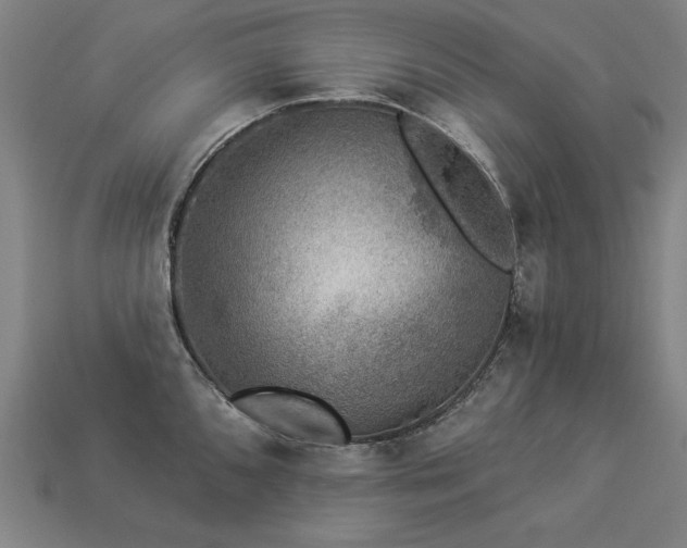 X0000113941096200909251235