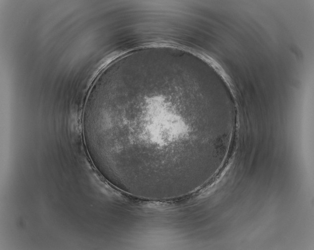 X0000113941097200909251235