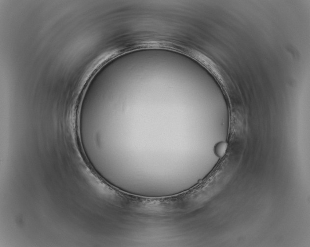 X0000113941098200909251235