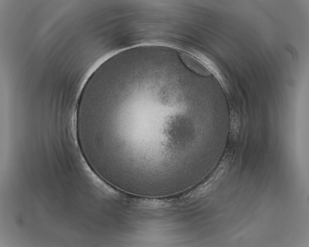 X0000113941100200909251235