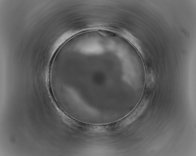X0000113941101200909251235
