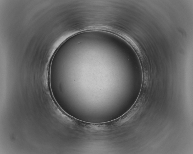 X0000113941102200909251235