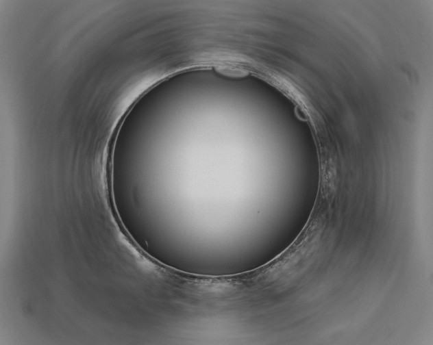X0000113941103200909251235