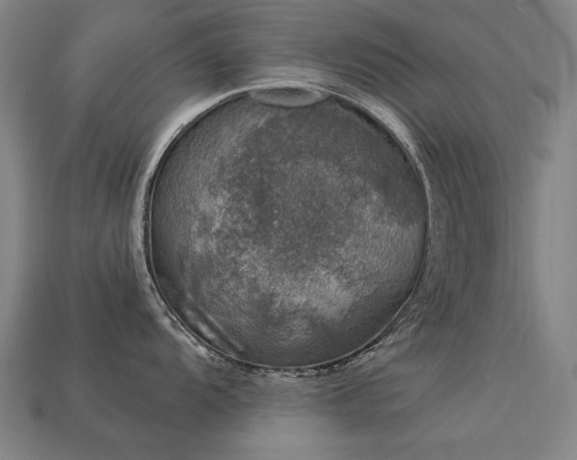 X0000113941104200909251235