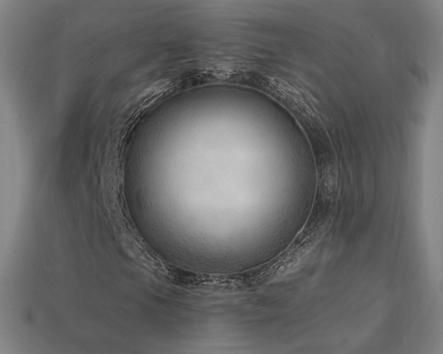 X0000113941105200909251234