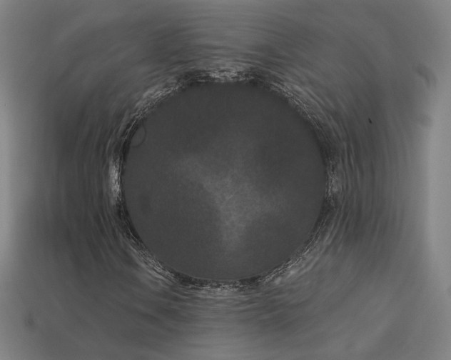 X0000113941106200909251234