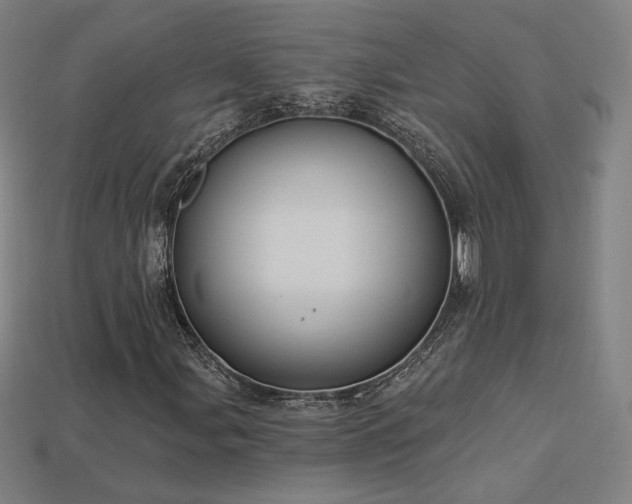 X0000113941107200909251234