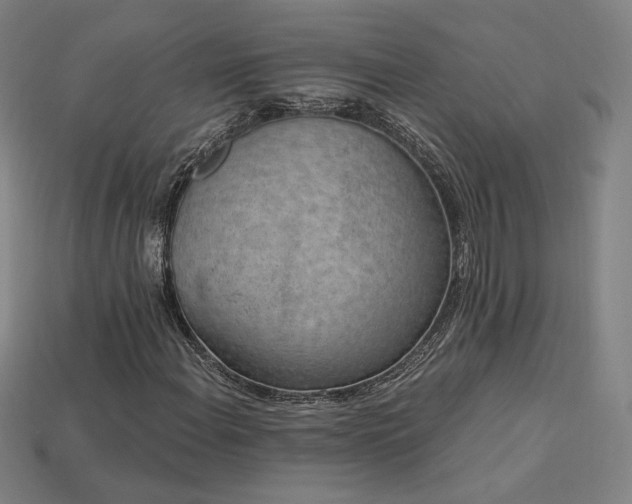 X0000113941108200909251234