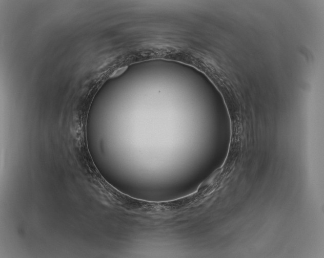 X0000113941109200909251234