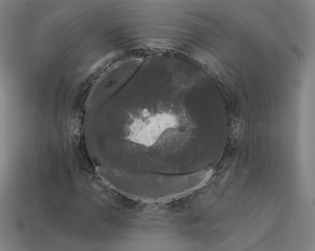X0000113941110200909251234