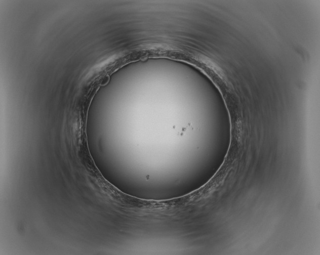 X0000113941111200909251234
