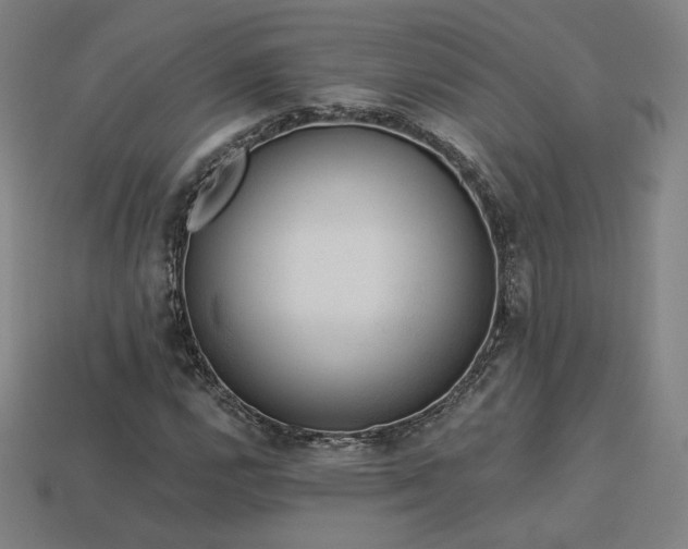 X0000113941112200909251234