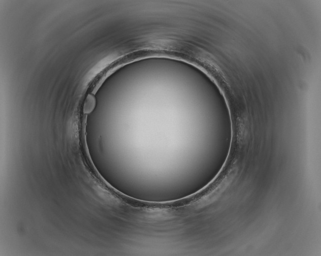X0000113941114200909251235
