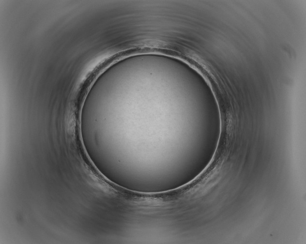 X0000113941115200909251235