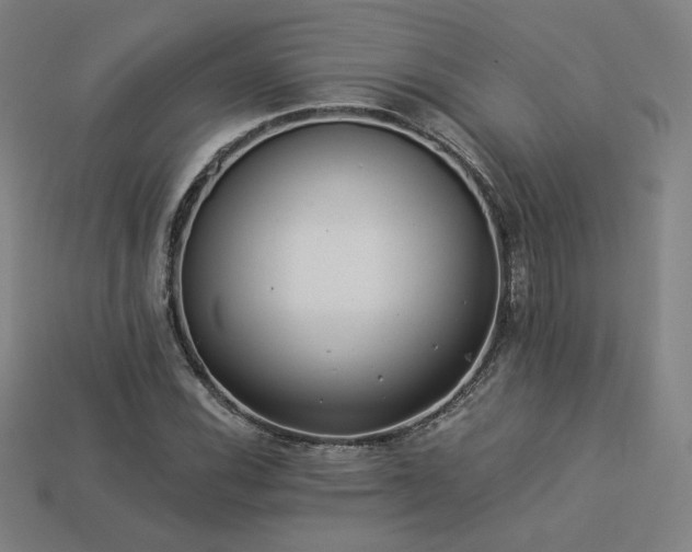 X0000113941116200909251235