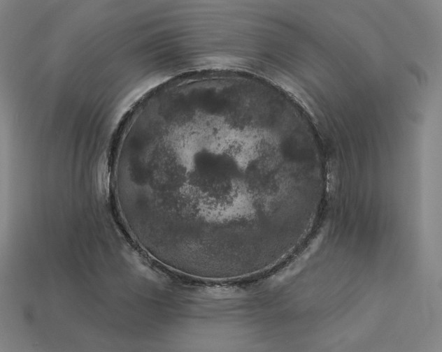 X0000113941117200909251235