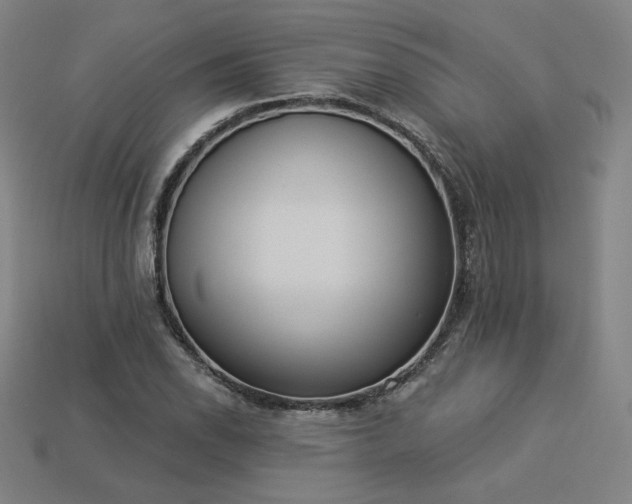 X0000113941118200909251235