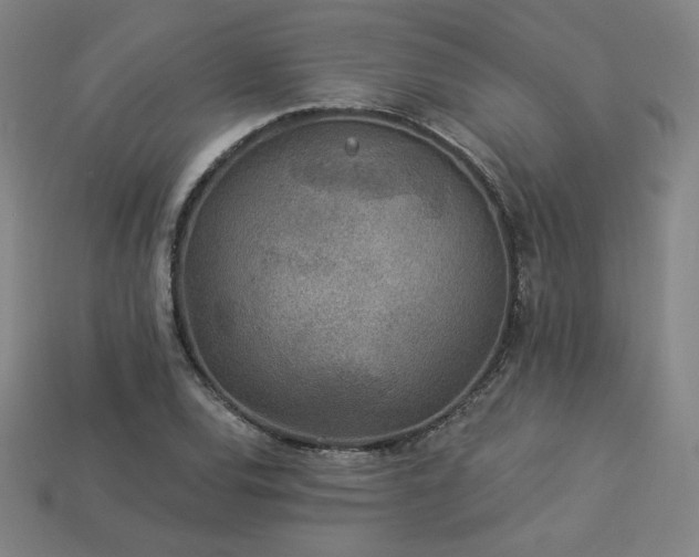 X0000113941120200909251235