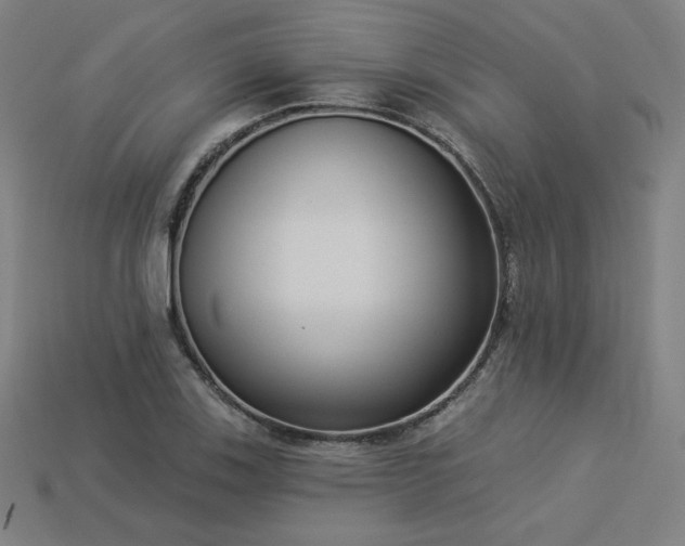 X0000113941123200909251235