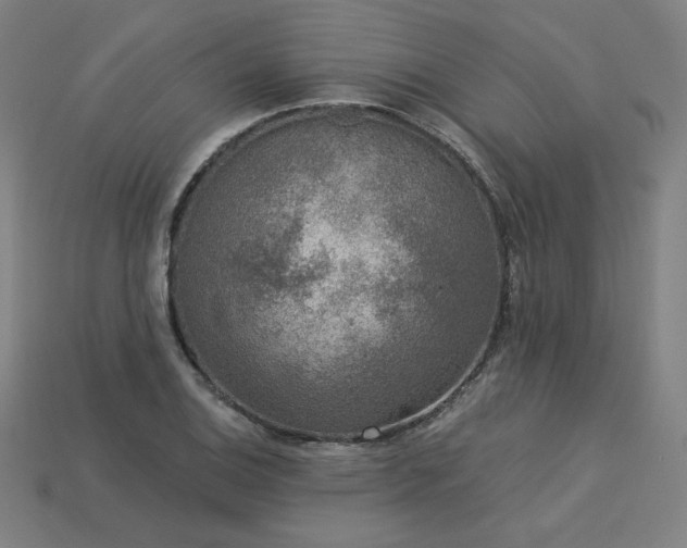 X0000113941124200909251235
