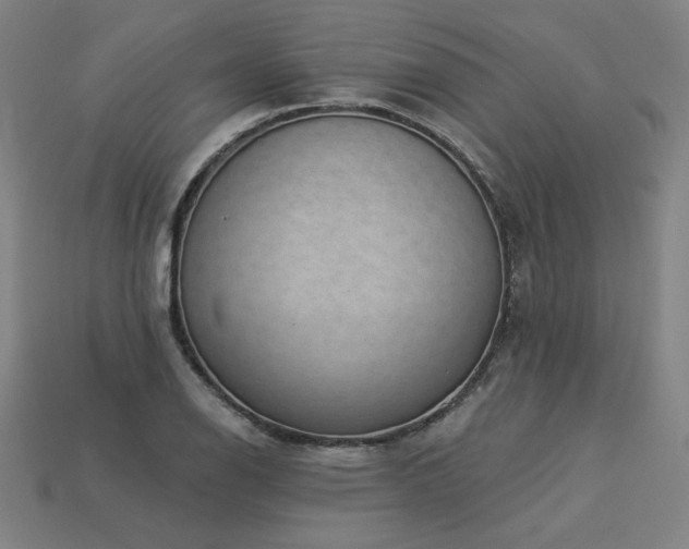 X0000113941126200909251235