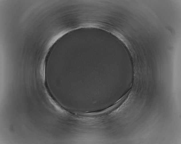 X0000113941127200909251235