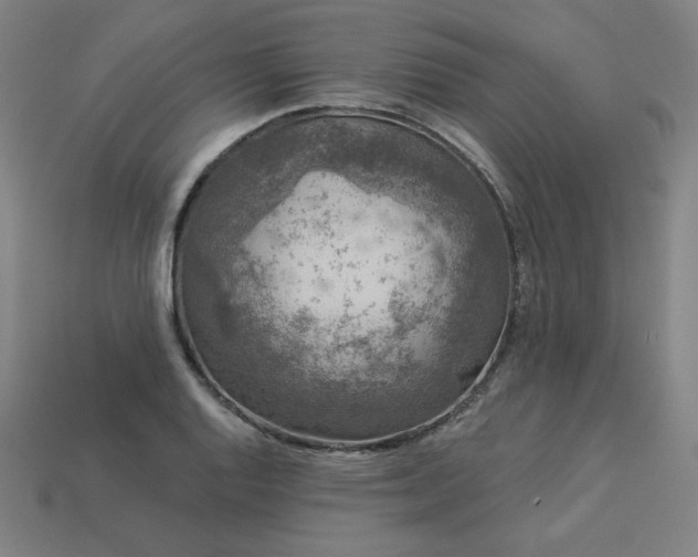 X0000113941128200909251235