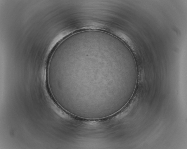 X0000113941130200909251235