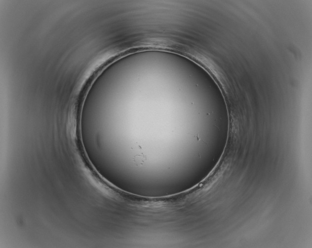 X0000113941131200909251235