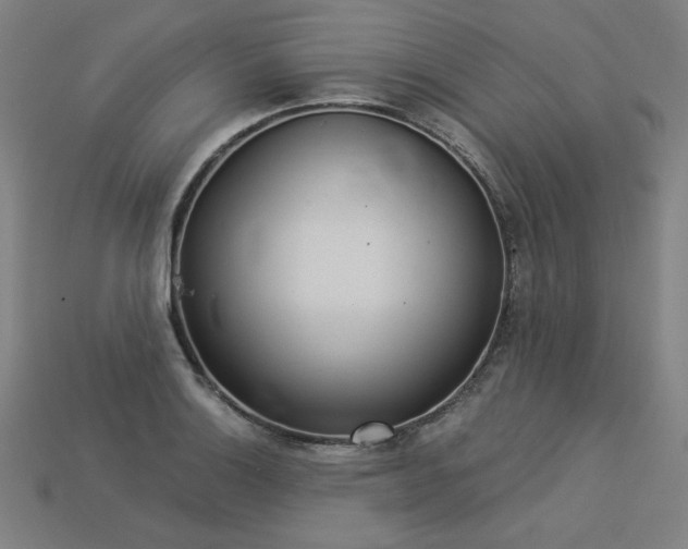 X0000113941132200909251235
