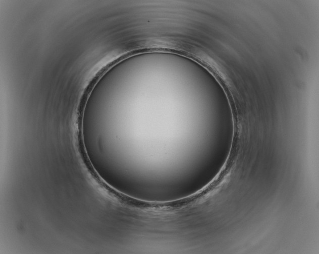 X0000113941133200909251235