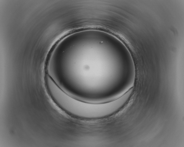 X0000113941134200909251235