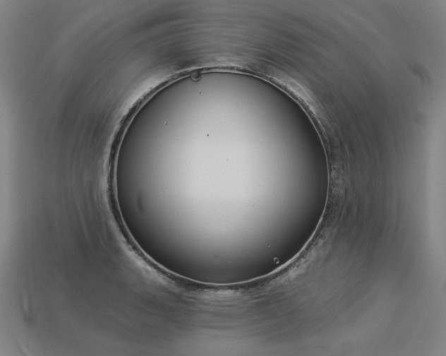 X0000113941135200909251235
