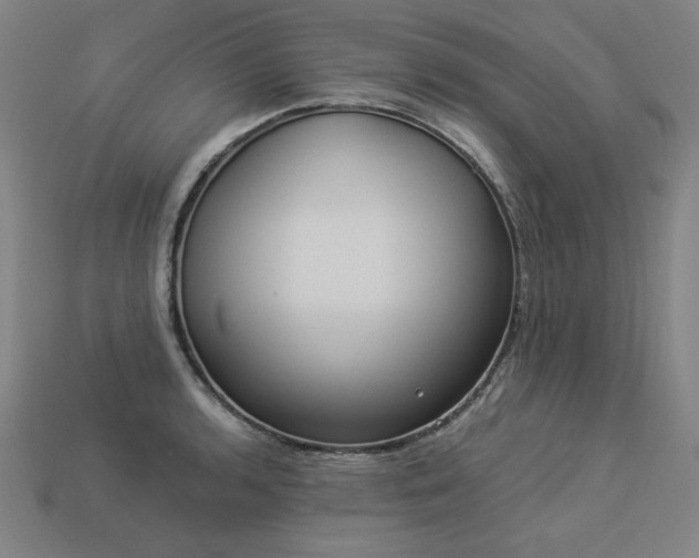 X0000113941136200909251235
