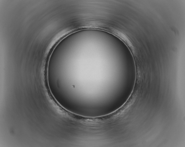 X0000113941138200909251235