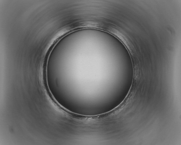 X0000113941139200909251235