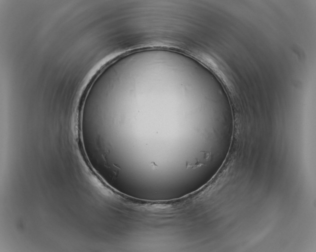 X0000113941140200909251235