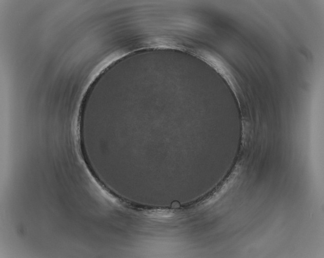 X0000113941141200909251235