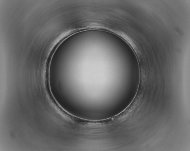 X0000113941142200909251235