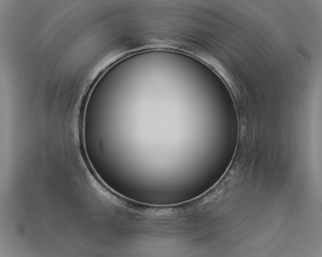 X0000113941143200909251235