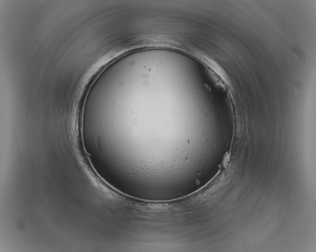 X0000113941144200909251235